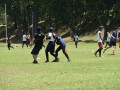 Tn dsc 0954